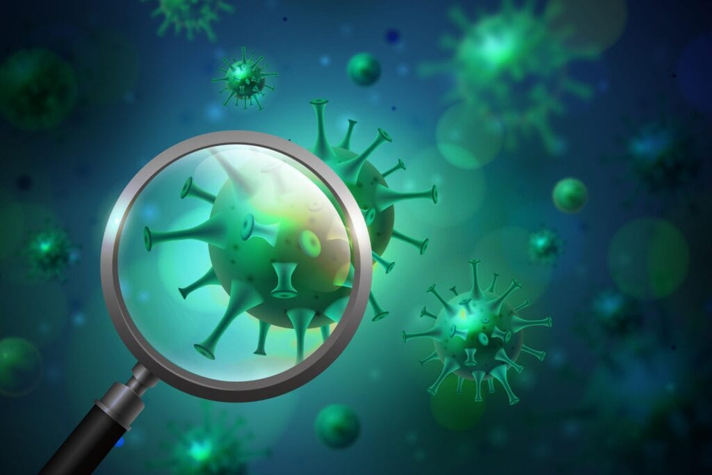 human metapneumovirus
