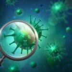 human metapneumovirus